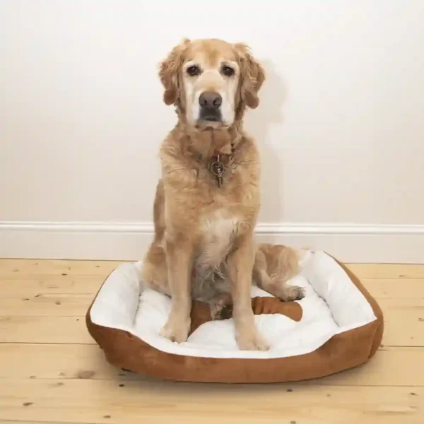 Deluxe Foam Filled Dog Bed